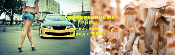 spice Майский