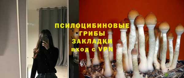 а пвп мука Аркадак
