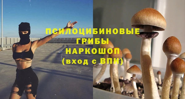 бутират Арсеньев
