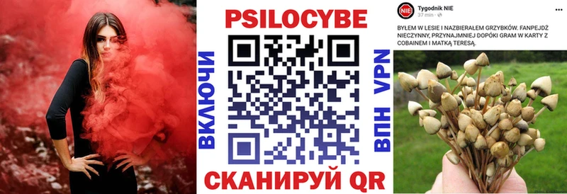 Псилоцибиновые грибы мицелий  Новоузенск 